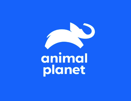 Animal Planet Global Rebrand