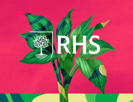 RHS – Brand Refresh